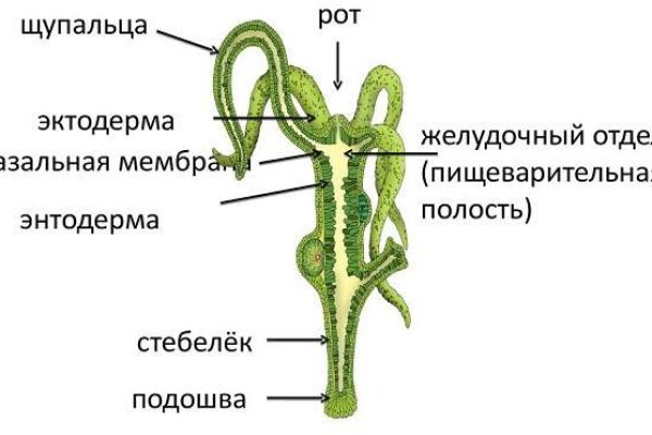 Не работает сайт blacksprut