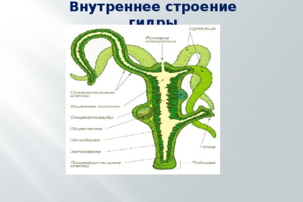 Ссылка на блэкспрут через тор