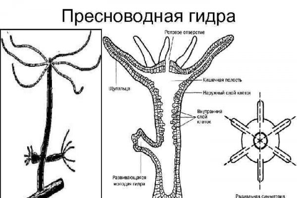 Bs2site at ссылка blacksprut